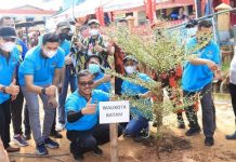 Pemko Batam Ajak KNPI Bangun Batam dan Dukung Penanganan Pandemi Jefridin Hamid tanam Pohon bersama DPD Komite Nasional Pemuda Indonesia Batam