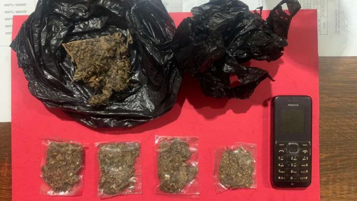 Simpan Ganja di Kulkas Tanjungpinang