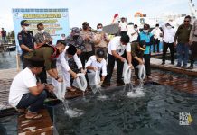 Desa Pangkil Bintan Jadi Embrio Kembangkan Bisnis Budidaya Ikan Apung di Kepri Gubernur Ingin Budidaya Ikan di Pangkil 2