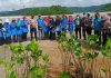PGRI Palmatak Kepulauan Anambas Tanam 300 Bibit Mangrove di Pantai Mudoi