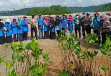 PGRI Palmatak Kepulauan Anambas Tanam 300 Bibit Mangrove di Pantai Mudoi