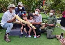 Keseruan di Taman Wisata Alam Eco Edu Park Panbil, Bisa Foto dengan Hewannya Eco Edu Park Panbil Batam