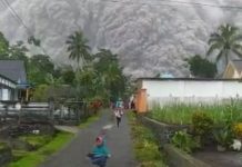 Relawan Temukan Jenazah Ibu Peluk Anak Tertimbun Abu Vulkanik Erupsi Semeru Gunung Semeru Metelus 4 Desember 2021