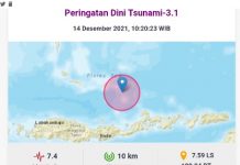 Gempa Larantuka Magnitudo 7,4 Potensi Tsunami Terasa sampai Labuan Bajo