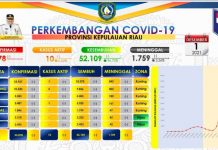 Update 2 Desember 2021 Covid-19 di Kepri, Kasus Aktif Dirawat 10 Orang dimana 7 Kasus di Batam