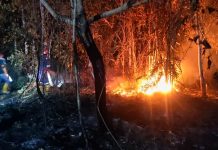 Delapan Hektar Lahan Warga Hangus Terbakar, Damkar PT Timah Siaga 24 Jam