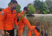 Sambut HUT Basarnas, Kantor SAR Tanjungpinang Tanam 1000 Bibit Mangrove