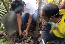 Satresnarkoba Polres Tanjungpinang Amankan Seorang Pria Terkait Narkoba