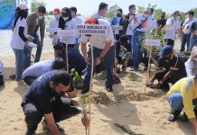 Minimalisir Dekarbonisasi, Ribuan Mangrove Siap Menuju Net Zero Emission Minimalisir Dekarbonisasi, Ribuan Mangrove Siap Menuju Net Zero Emission
