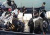 BC Kepri Tegah 138 Ribu Benih Lobster, Senilai Rp 14 Miliar, Selundupkan ke Singapura