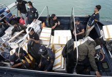 BC Kepri Tegah 138 Ribu Benih Lobster, Senilai Rp 14 Miliar, Selundupkan ke Singapura