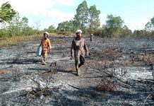 Bersama Warga Personel Damkar Berhasil Padamkan Api di Lahan Semak Belukar Bintan