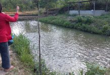 Penggiat Budidaya Ikan Air Tawar di Bintan Butuh Penyuluhan dan Motivasi Dengan Benar