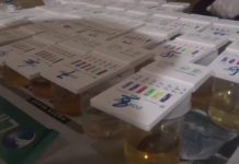 Syarat Angkut Pemudik Asal Karimun, ABK Nakhoda di Tes Urine, Hasilnya?