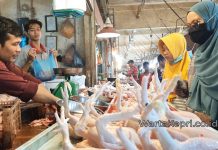 Lapor Pak, di Batam Harga Daging Melonjak Jelang Idul Fitri 2022 Lapor Pak, Di Batam Harga Daging Melonjak Jelang