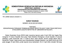 Awal Mei 2022, Kemenkes Waspadai Kasus Hepatitis Akut Anak Balita, Berikut Gejalanya Waspada Kasus Hepatitis Akut Anak di bawah 5 Tahun, Berikut Gejalanya