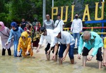 Potensi Desa Jang Moro, Rafiq: Konservasi Penyu Kemajuan Pariwisata