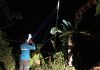 Listrik PLN Letung Padam Total akibat Dihantam Pohon Kelapa Tumbang Listrik PLN Letung Padam Total akibat Dihantam Pohon Kelapa Tumbang
