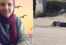 Baru Bertugas, Ghufran Warasneh Jurnalis Palestina Tewas Ditembak Jarak 2 Meter Baru Bertugas, Ghufran Warasneh Jurnalis Palestina Tewas Ditembak Jarak 2 Meter