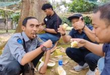 Panen Durian Tanjungbatu, Batam Tujuan Pemasaran, Rafiq: Keuntungan Ratusan Juta Durian Tanjungbatu Agrowisata, petik buah durian langsung dari pohon