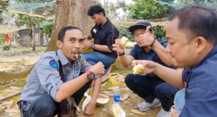 Durian Tanjungbatu Agrowisata, petik buah durian langsung dari pohon