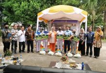 Wagub Kepri Bagikan Bantuan Baznas Batam ke Honorer RSUD Embung Fatimah Batam Wagub Kepri Bagikan Bantuan Baznas Batam ke Honorer RSUD Embung Fatimah Batam