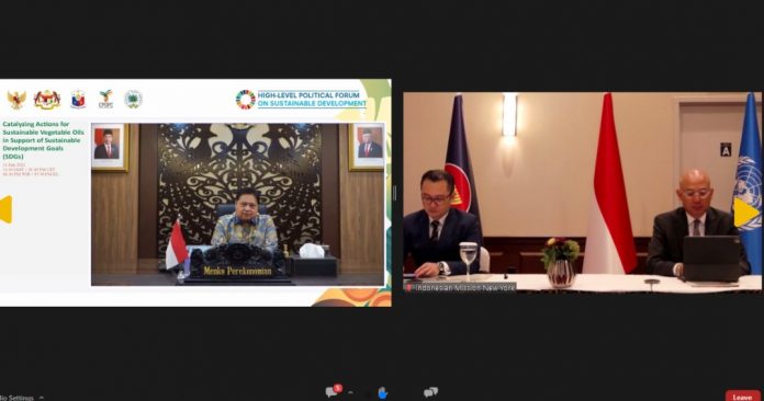 Airlangga Dalam High Level Political Forum UN-ECOSOC Airlangga Dalam High Level Political Forum UN-ECOSOC