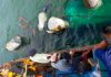 Nelayan Moro Diseruduk Kapal Ikan, Usman: Tangkap Pelaku dan Tanggung Jawab