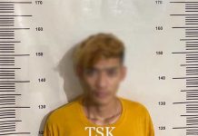 Berbuat Asusila, Seorang Pemuda Diamankan Unit Reskrim Polsek Sekupang