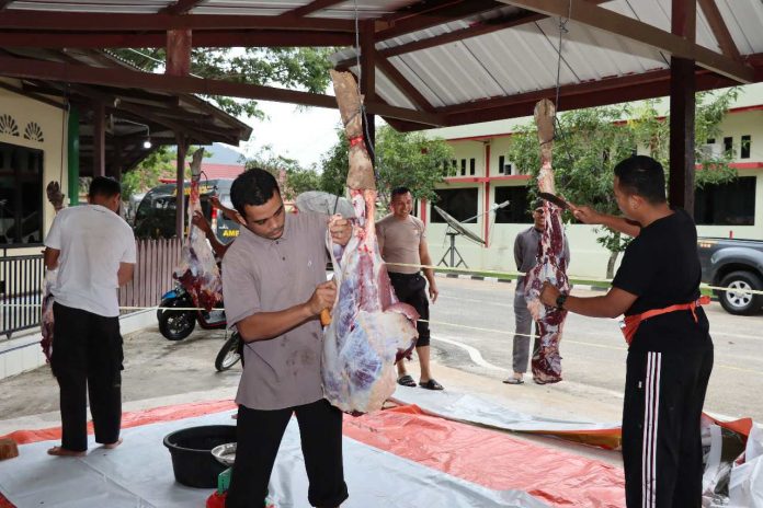 Polres Natuna Qurban 4 ekor Sapi Idul Adha 1443 H