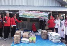 Penuhui Kebutuhan Pangan Daerah Terisolir, Dinas Ketahanan Pangan Pasbar Adakan Pasar Murah
