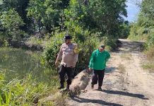 Antisipasi Kebakaran Hutan, Personel Polsek Sekupang Patroli Bersama di Bukit Senimba Sungai Temiang Bukit Senimba