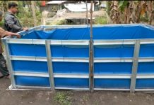 Sarana dan Prasarana Penyuluh Perikanan di Karimun Lengkap, Rafiq: Pengembangan Budidaya dan Inovasi