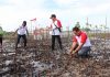 KSOP Khusus Batam Tanam Bibit Mangrove dan Bersih Pantai di Hari Perhubungan Nasional