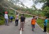 Dampak Cuaca Buruk, Satbinmas Polres Anambas Bersama Masyarakat Bersihkan Pohon Tumbang