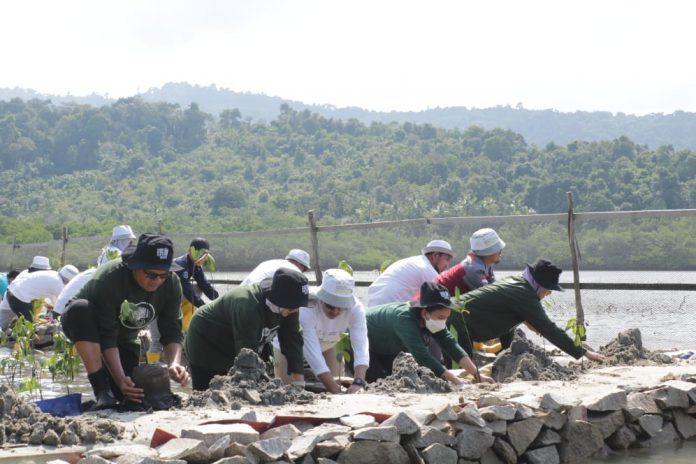 Program Konservasi Mangrove Harbour Energy