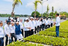 Presiden dan Para Pemimpin Negara G20 Tanam Pohon Mangrove di Tahura Ngurah Rai Bali Mangrove Tahura Ngurah Rai Bali G20