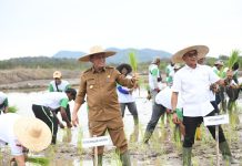 Gubernur Kepri Dobrak Mitos penanaman Padi di Kabupaten Lingga