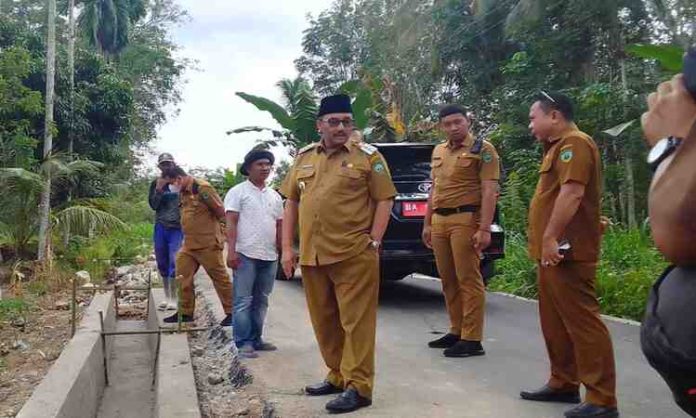 Bupati Pasaman Cek Jalan