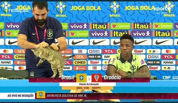 Karma Kucing Brazil jelang Lawan Kroasia Karma Kucing Brazil jelang Lawan Kroasia
