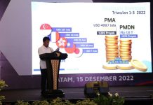 Menteri PAN-RB ke BP Batam, Rudi: Pertumbuhan Ekonomi 6,35 Persen dan Investasi Rp 8,15 Triliun Menteri PAN-RB ke BP Batam, Pertumbuhan Ekonomi 6,35 Persen