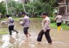 Tanggap Bencana, Polres Pasaman Barat Pantau Banjir di Jorong Rantau Panjang Tanggap Bencana, Kapolsek Pasaman, Polres Pasaman