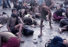 185 Pengungsi Rohingya Mendarat Darurat di Aceh, Sementara di Tampung di Fasilitas Lokal