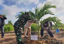 PWI Kabupaten Bintan Bareng Kodim Tanjungpinang dan PT. SBP Tanam 1.000 Pohon di jalan Busung, Lintas Barat