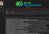 Hacker Bjorka Kembali Jual 19 Juta Data yang Diduga Milik BPJS Ketenagakerjaan BPJS Ketenagakerjaan Bjorka