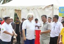 Harapkan Nilai Investasi Naik, Citramas Group Apresiasi Rencana Strategis BP Batam