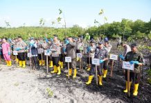 Peduli kelestarian Laut, Jefridin Turut Tanam Mangrove di Hari Jadi Bhayangkara-77