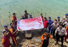 Hari Bhayangkara Ke-77, Satuan di Polres Anambas Tanam 80 Bibit Mangrove Hari Bhayangkara Ke-77, Satuan di Polres Anambas Tanam 80 Bibit Mangrove