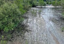 Kerusakan Lingkungan Akibat Aktivitas Manusia