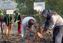 Tanam 1000 Bibit Mangrove, PT Timah Komitmen Gandeng FPKL Karimun